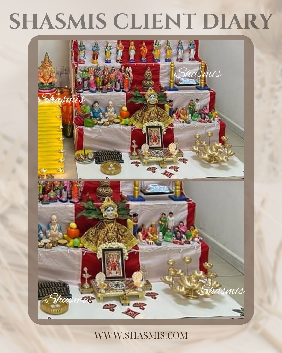 Shasmis Client Diary 36290005
