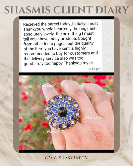 Shasmis Client Diary  36290117