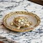 Tortoise Statue Sculpted in Great Detail in Ivory Antique Finish