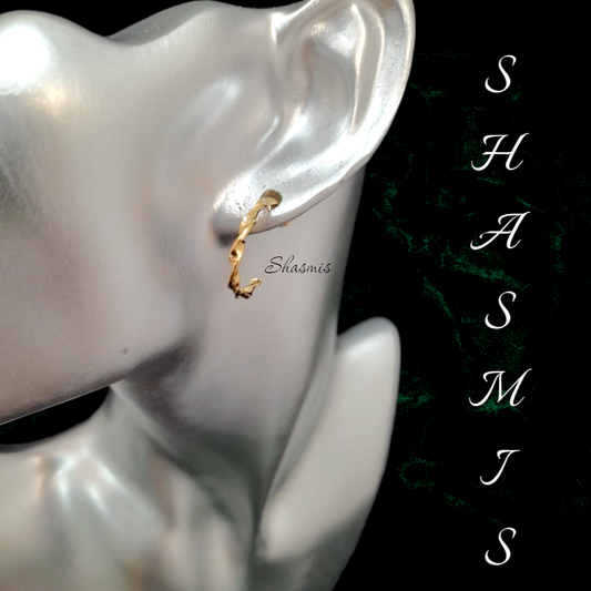 Small Hoop Earrings